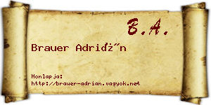 Brauer Adrián névjegykártya