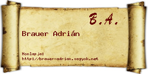Brauer Adrián névjegykártya